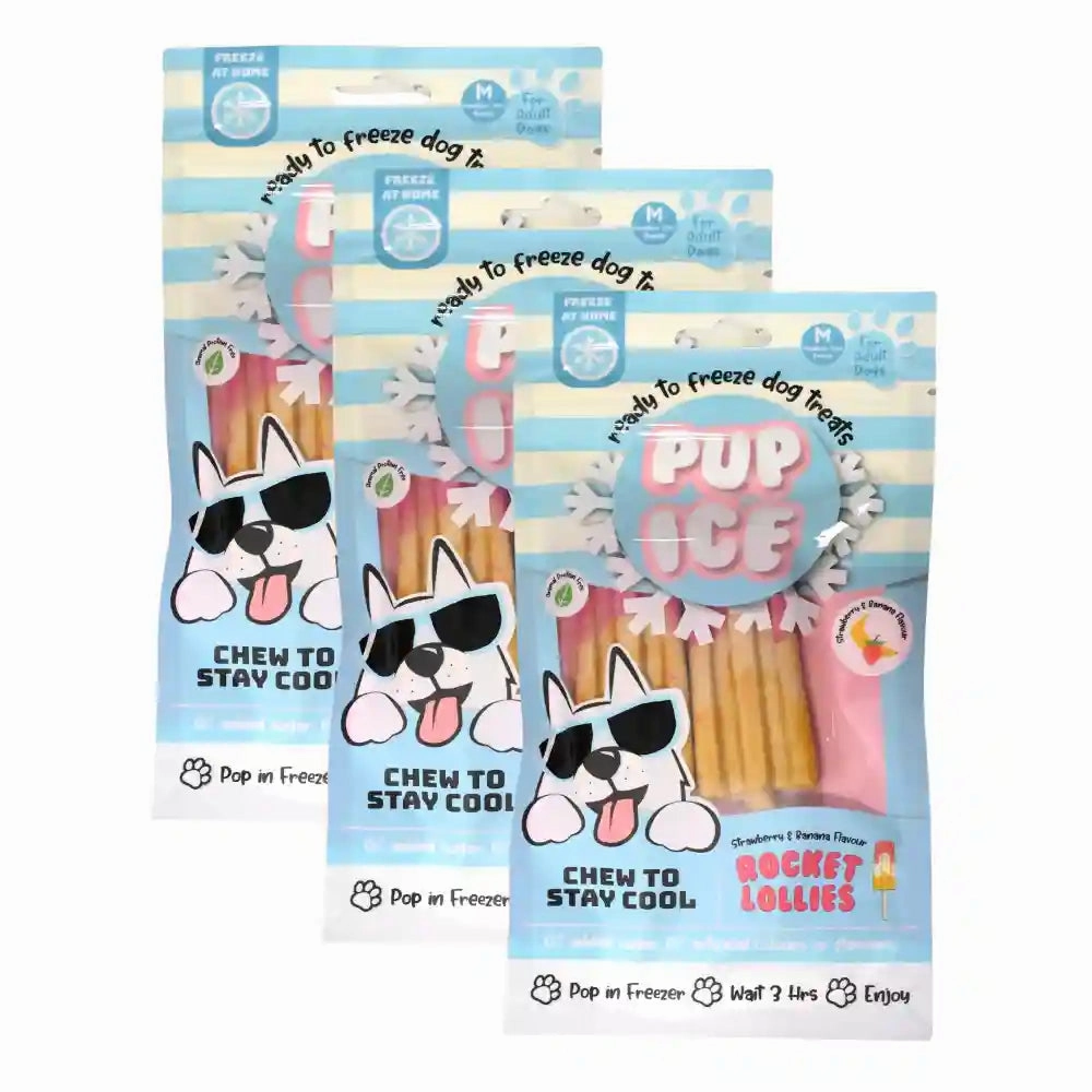 Pup Ice Meat Free Strawberry and Banana Flavoured Rocket Lollies Dog Treat