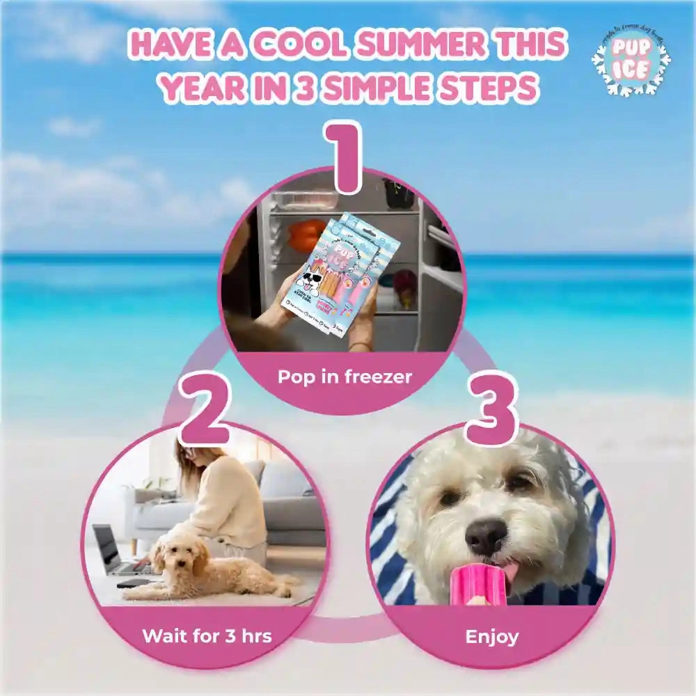 Pup Ice Meat Free Strawberry and Banana Flavoured Rocket Lollies Dog Treat