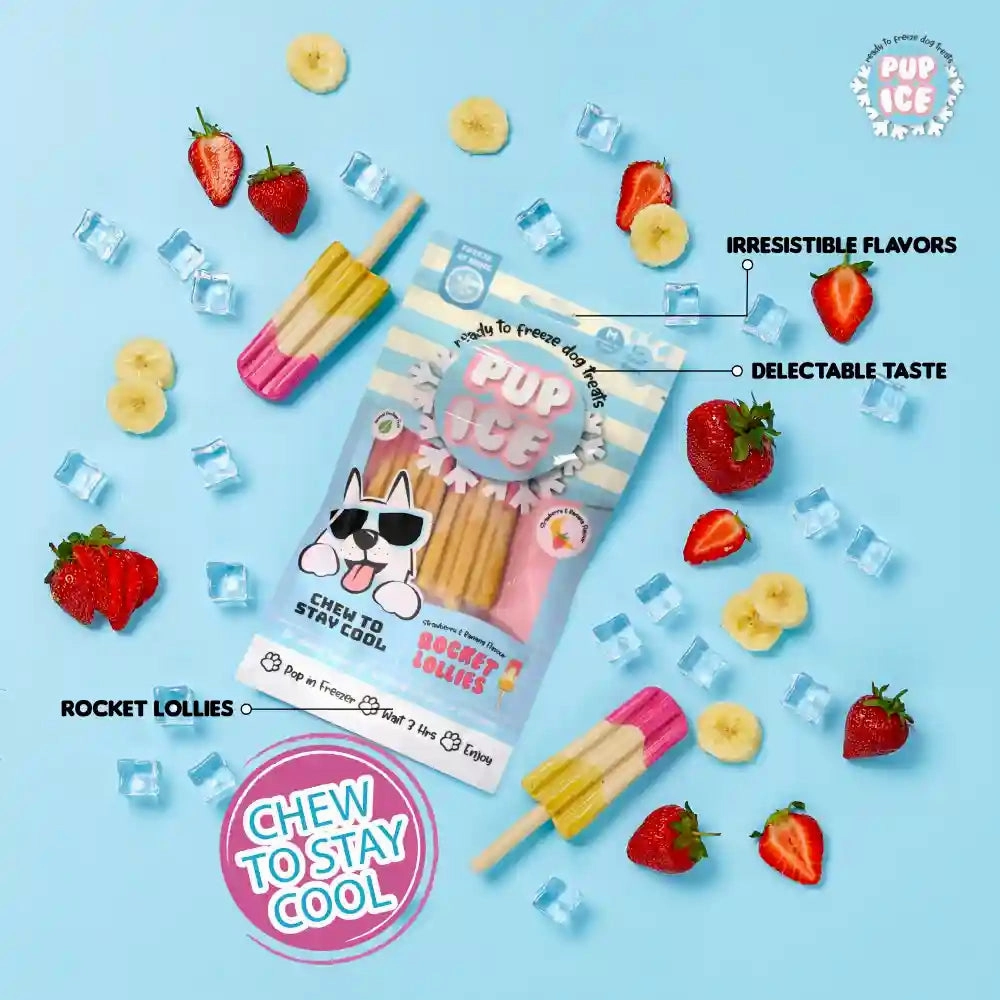 Pup Ice Meat Free Strawberry and Banana Flavoured Rocket Lollies Dog Treat