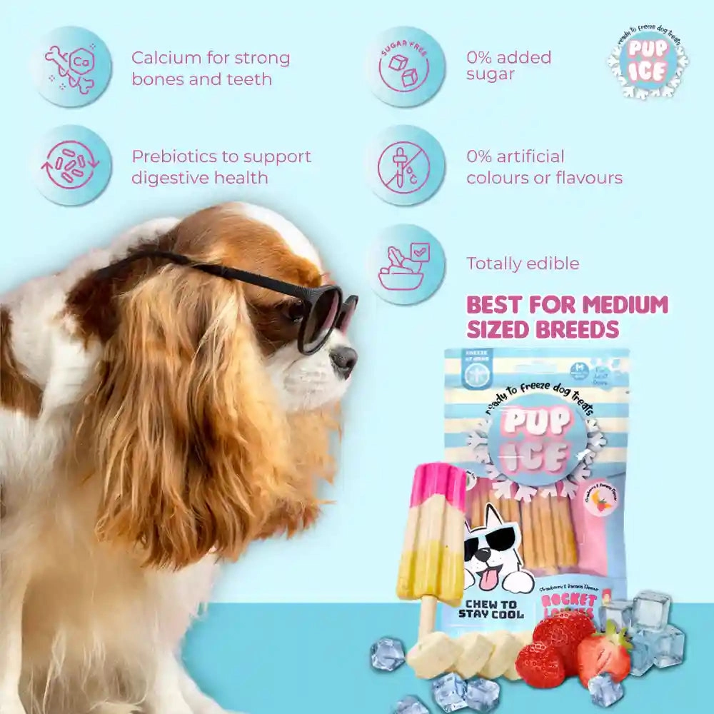 Pup Ice Meat Free Strawberry and Banana Flavoured Rocket Lollies Dog Treat