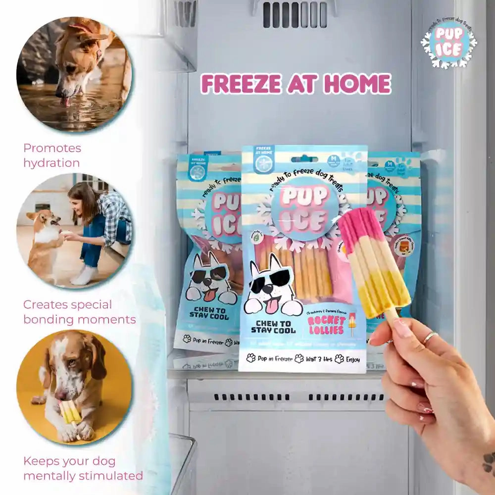 Pup Ice Meat Free Strawberry and Banana Flavoured Rocket Lollies Dog Treat