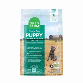 Puppy