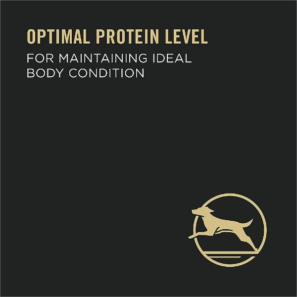 Purina Pro Plan Adult Beef & Rice Entre Canned Dog Food