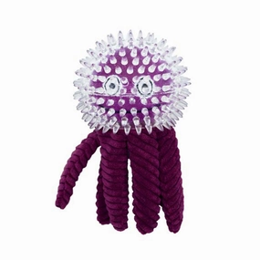 Purple Octopus