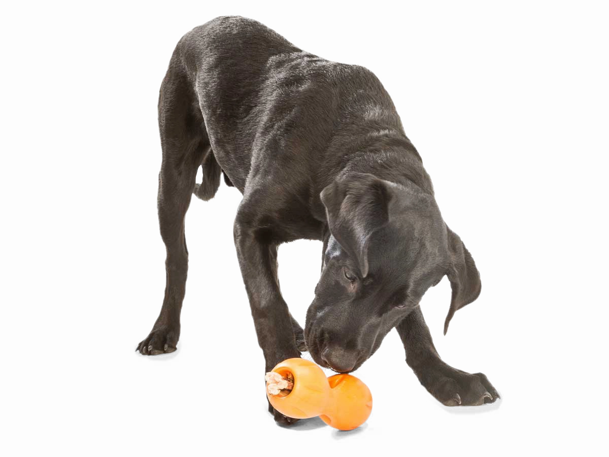 Qwizl Dog Treat Toy