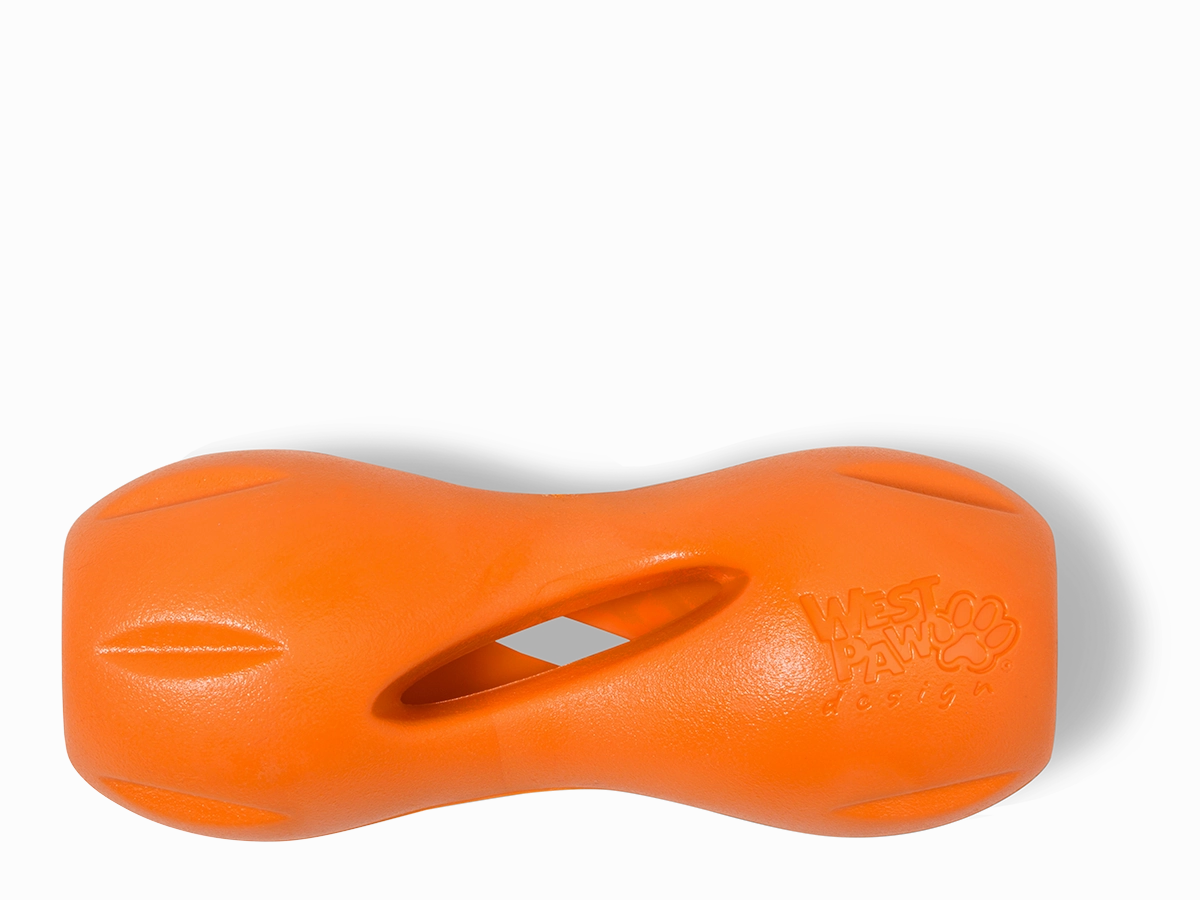 Qwizl Dog Treat Toy