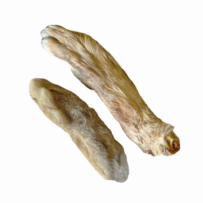 Rabbit Foot