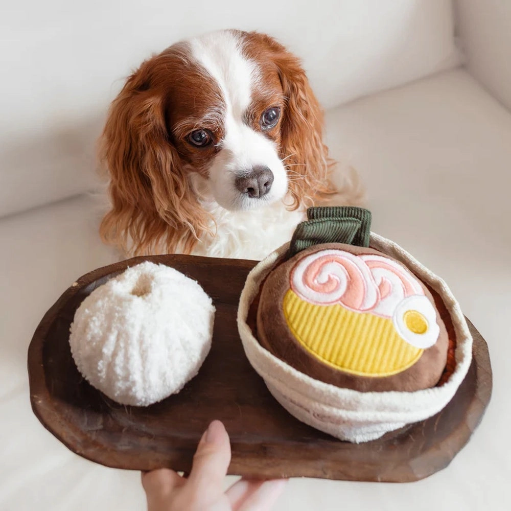 Ramen Snuffle   Squeaky Dog Toy