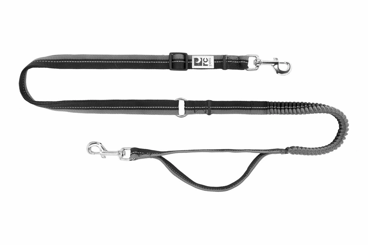 RC Pets Bungee Active Leash for Dogs in Black