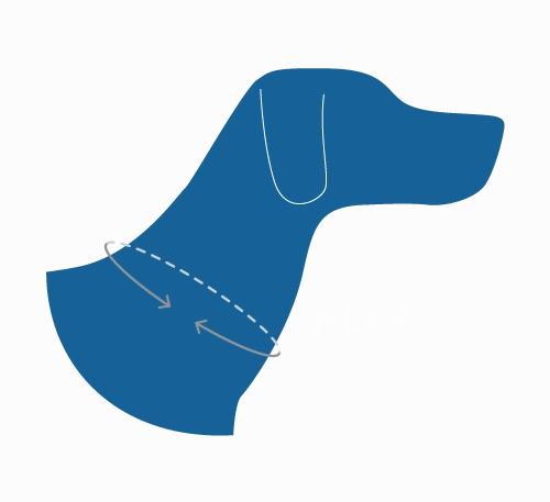 RC Pets Eco Clip Collar for Dogs in Staccato Sage Pattern