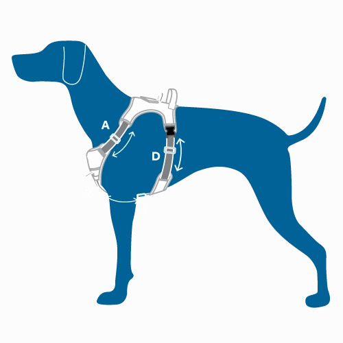 RC Pets Momentum Control Harness for Dogs in Azalea