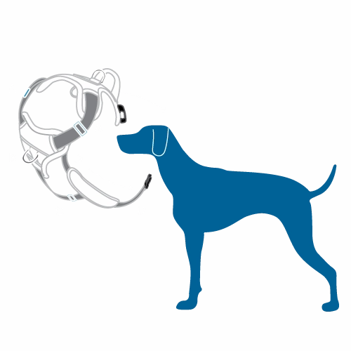 RC Pets Momentum Control Harness for Dogs in Sapphire