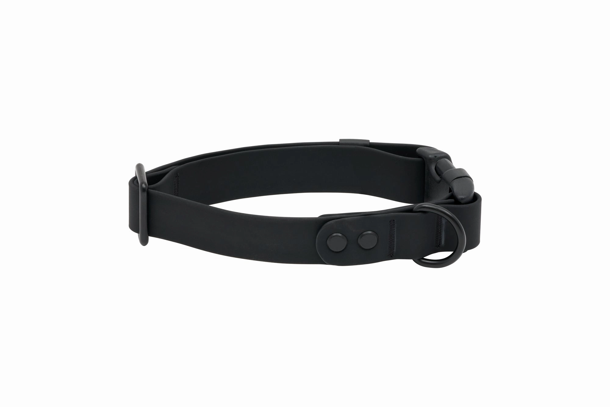 RC Pets Waterproof Collar for Dogs in Black