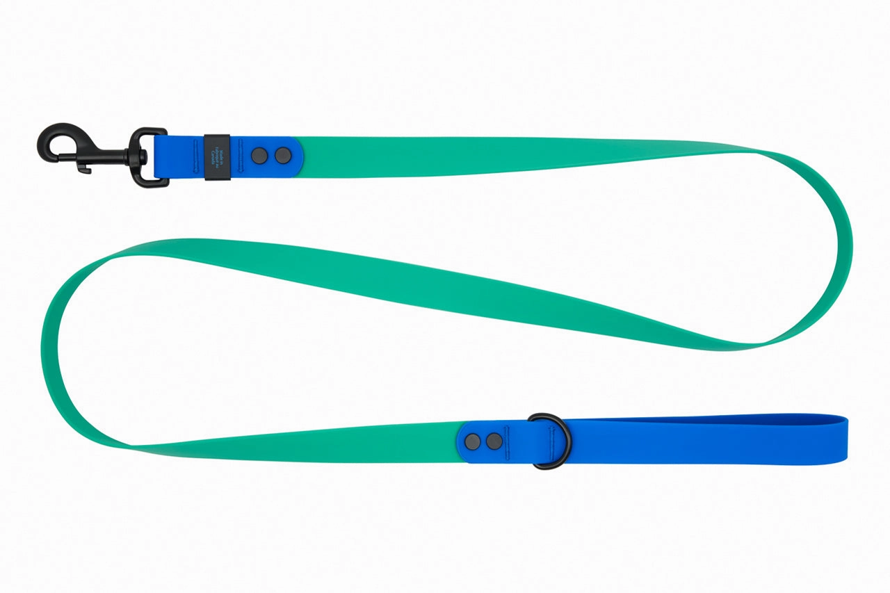 RC Pets Waterproof Leash for Dogs in Parakeet & Sapphire