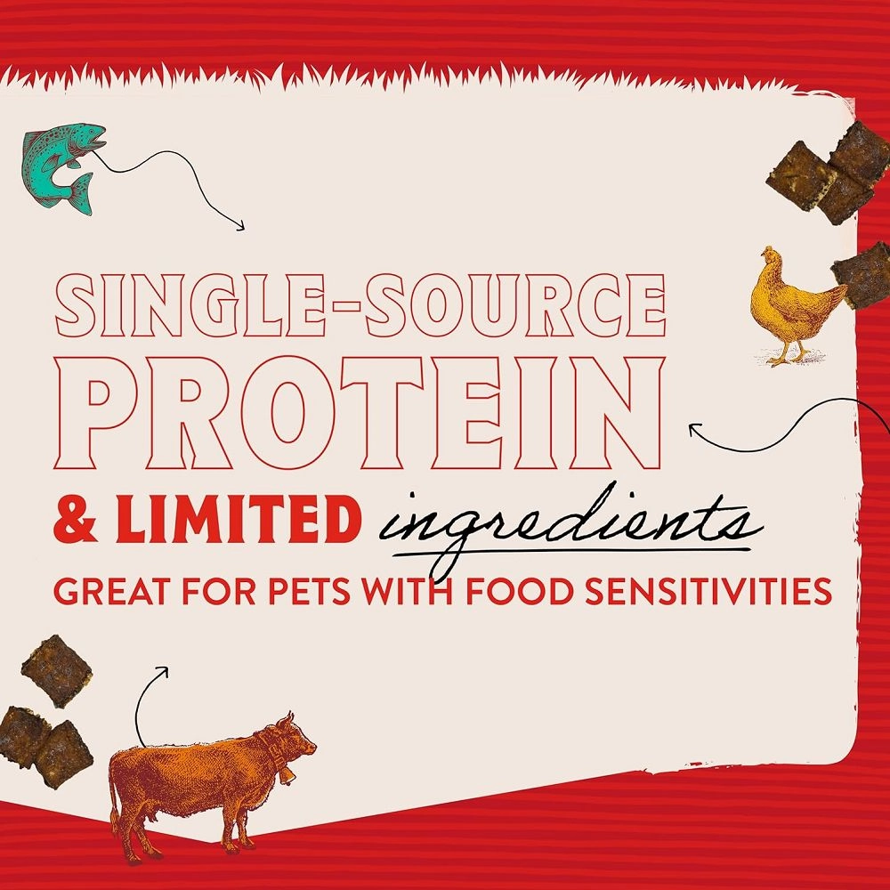 Real Salmon Jerky Bites Dog Treats