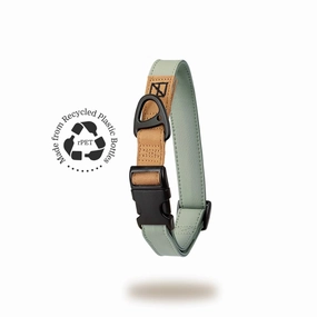 Recycled Ripstop Dog Collar Sage