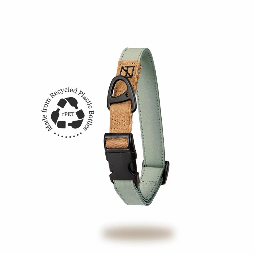 Recycled Ripstop Dog Collar Sage