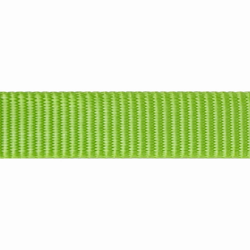 Red Dingo Classic Collar for Dogs (Lime Green)