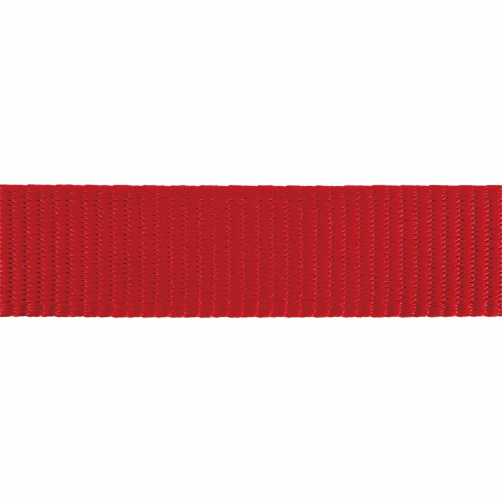 Red Dingo Classic Collar for Dogs (Red)