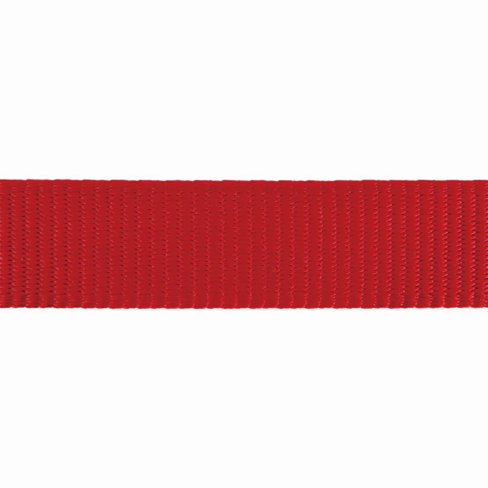 Red Dingo Classic Collar for Dogs (Red)
