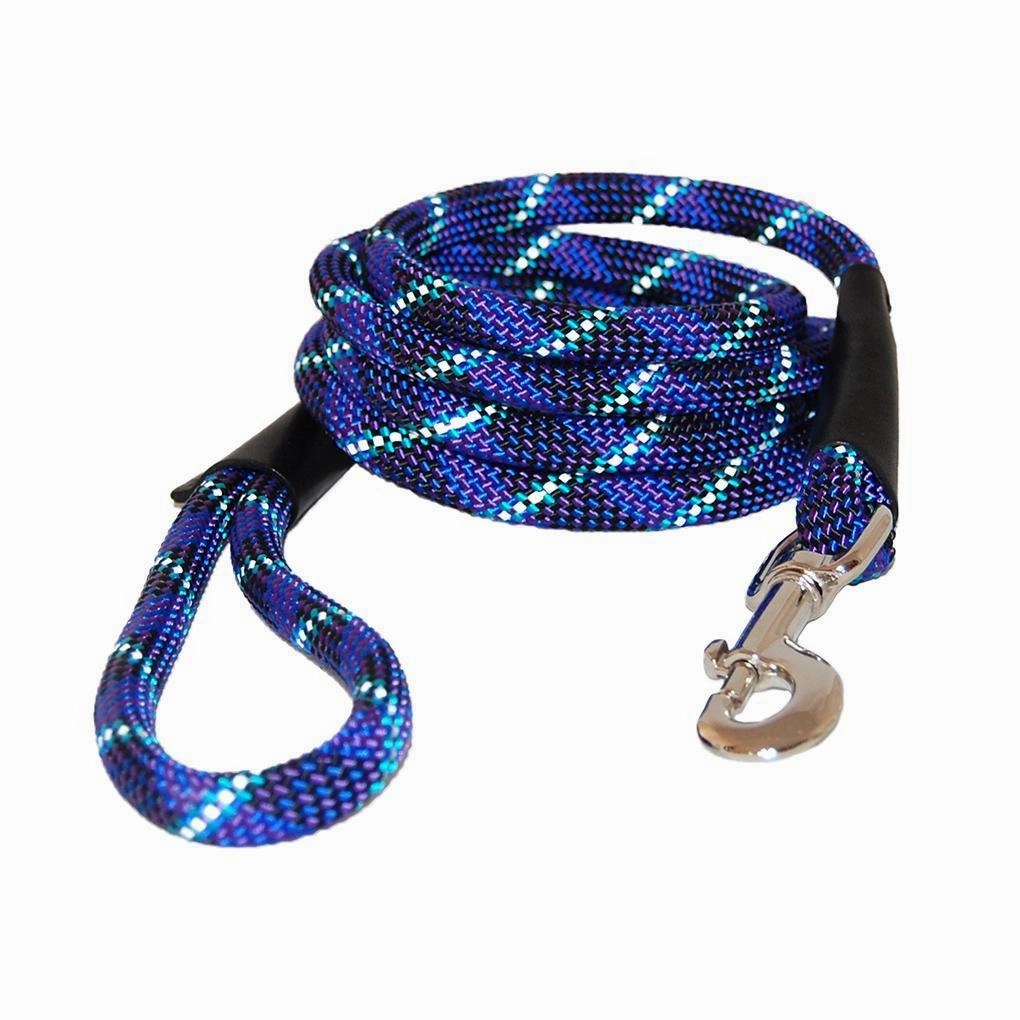 Reflective Rope Dog Leash Electric Blue