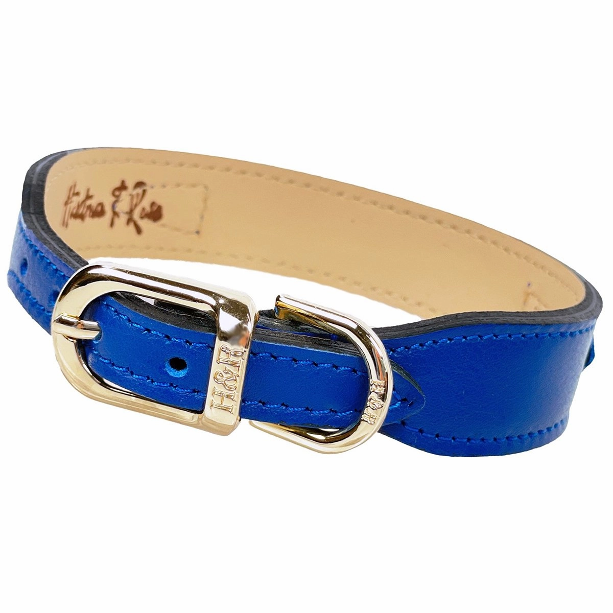 Regency Collection Dog Collar Cobalt Blue/Gold