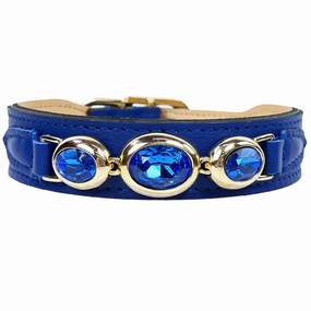 Regency Collection Dog Collar Cobalt Blue/Gold