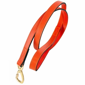 Regency Collection Dog Leash Tangerine