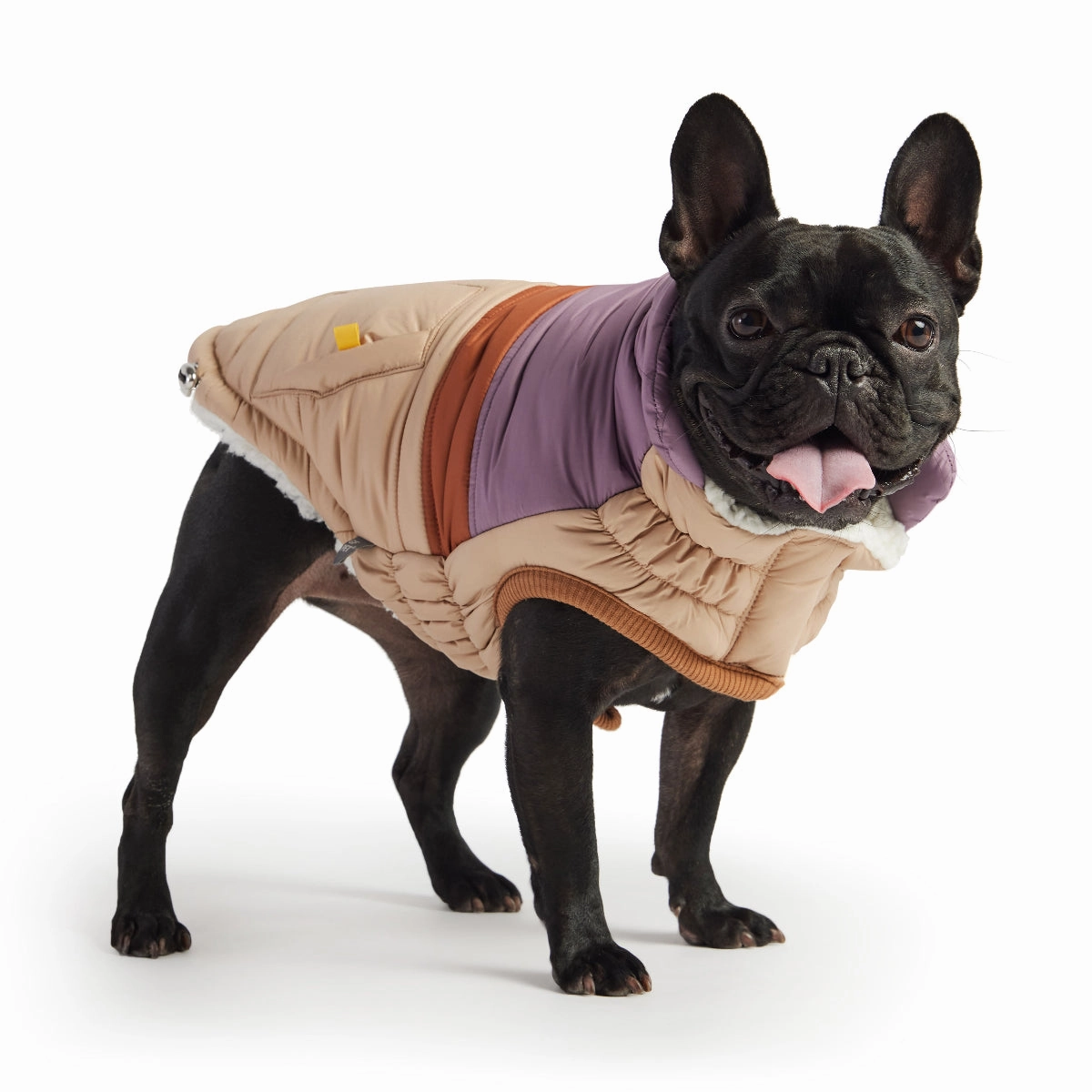 Retro Puffer Dog Jacket Sand