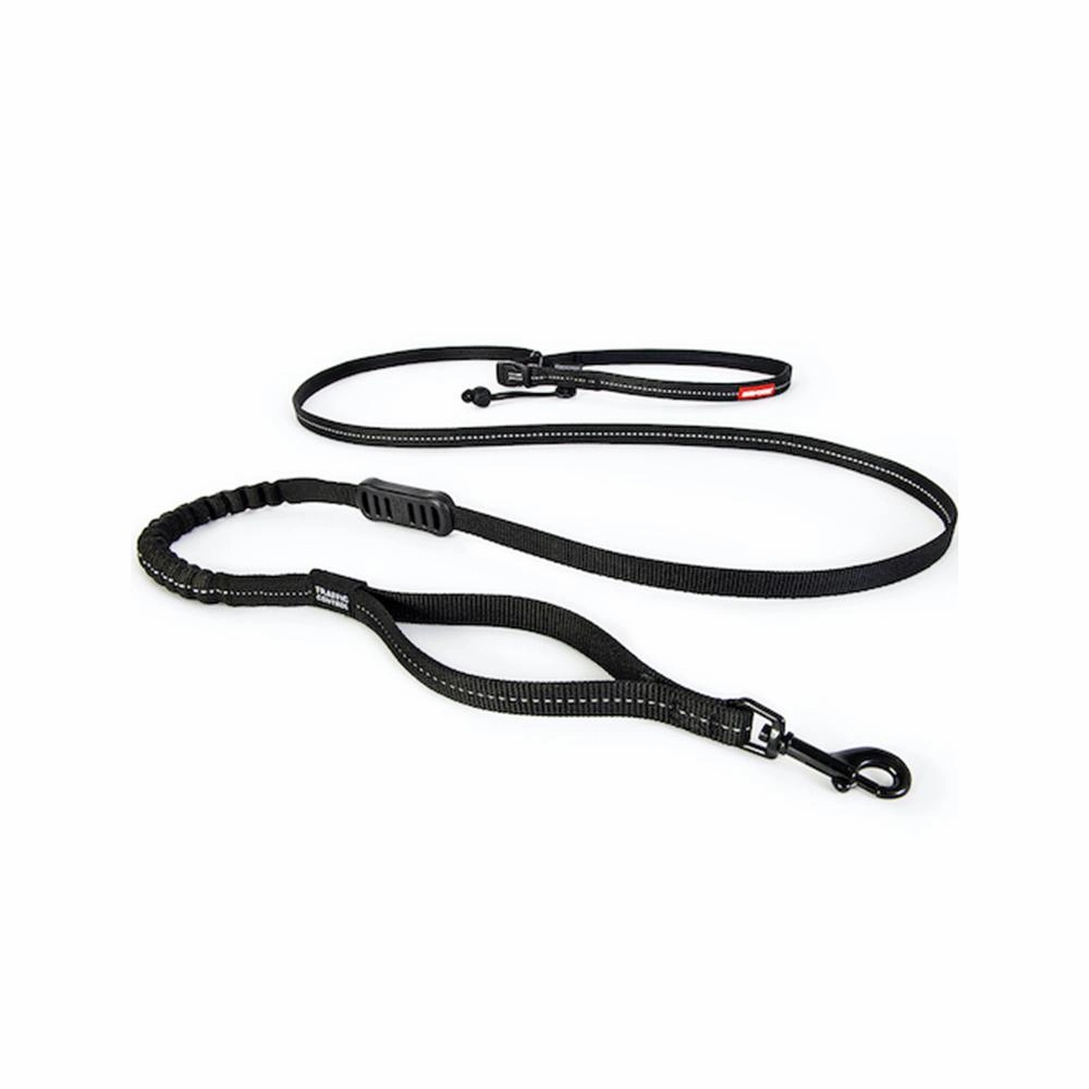 Road Runner Dog Leash Lite