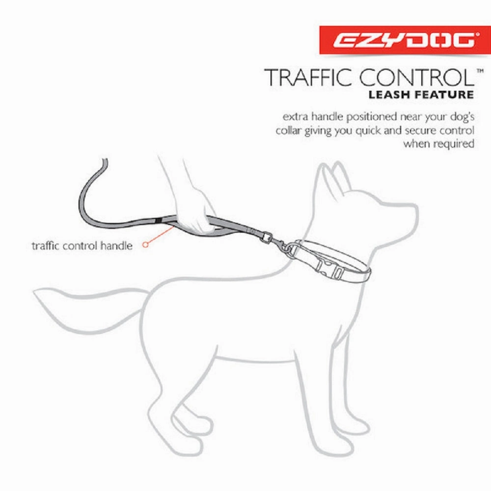 Road Runner Dog Leash Lite