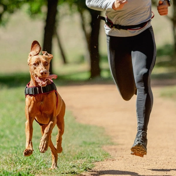 Rogz Airtech Sport Dog Harness