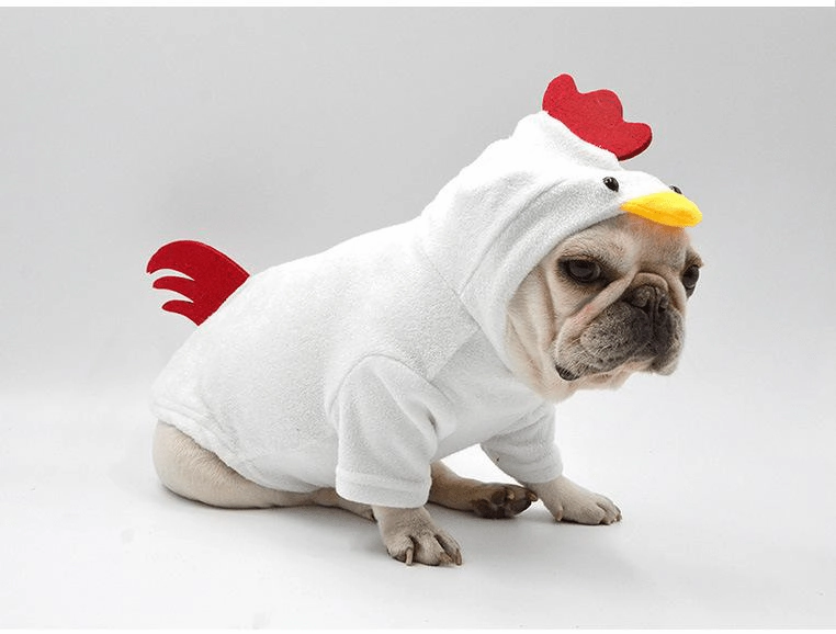Rooster Dog Costume