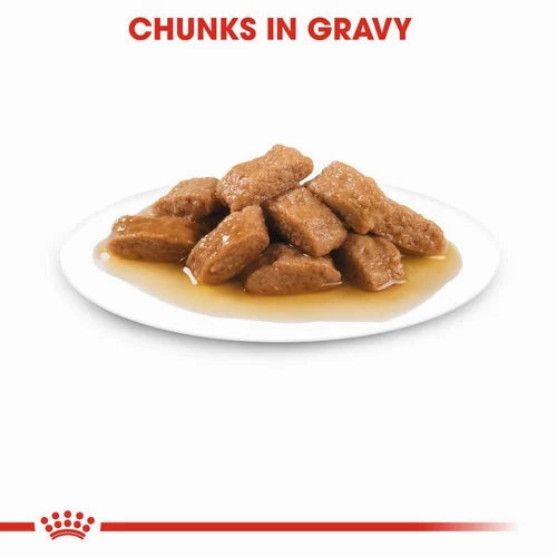 Royal Canin - Ageing 10  Medium Gravy Wet Food 140g