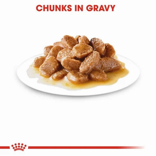 Royal Canin - Ageing 12  Mini Dog Gravy Wet Food 85g