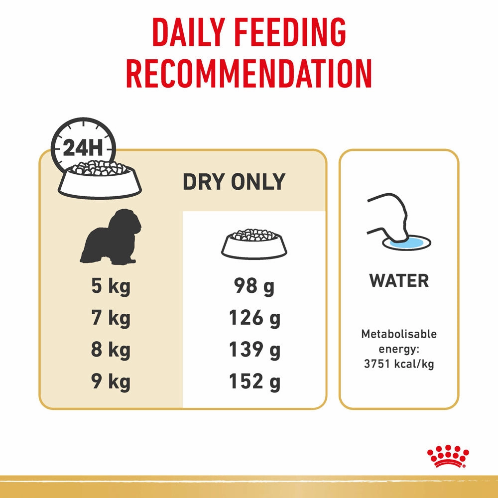 Royal Canin - Cavalier King Charles Breed Adult Dog Dry Food (3kg)