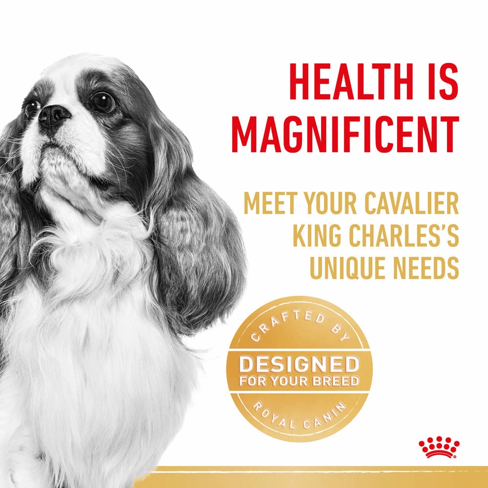 Royal Canin - Cavalier King Charles Breed Adult Dog Dry Food (3kg)