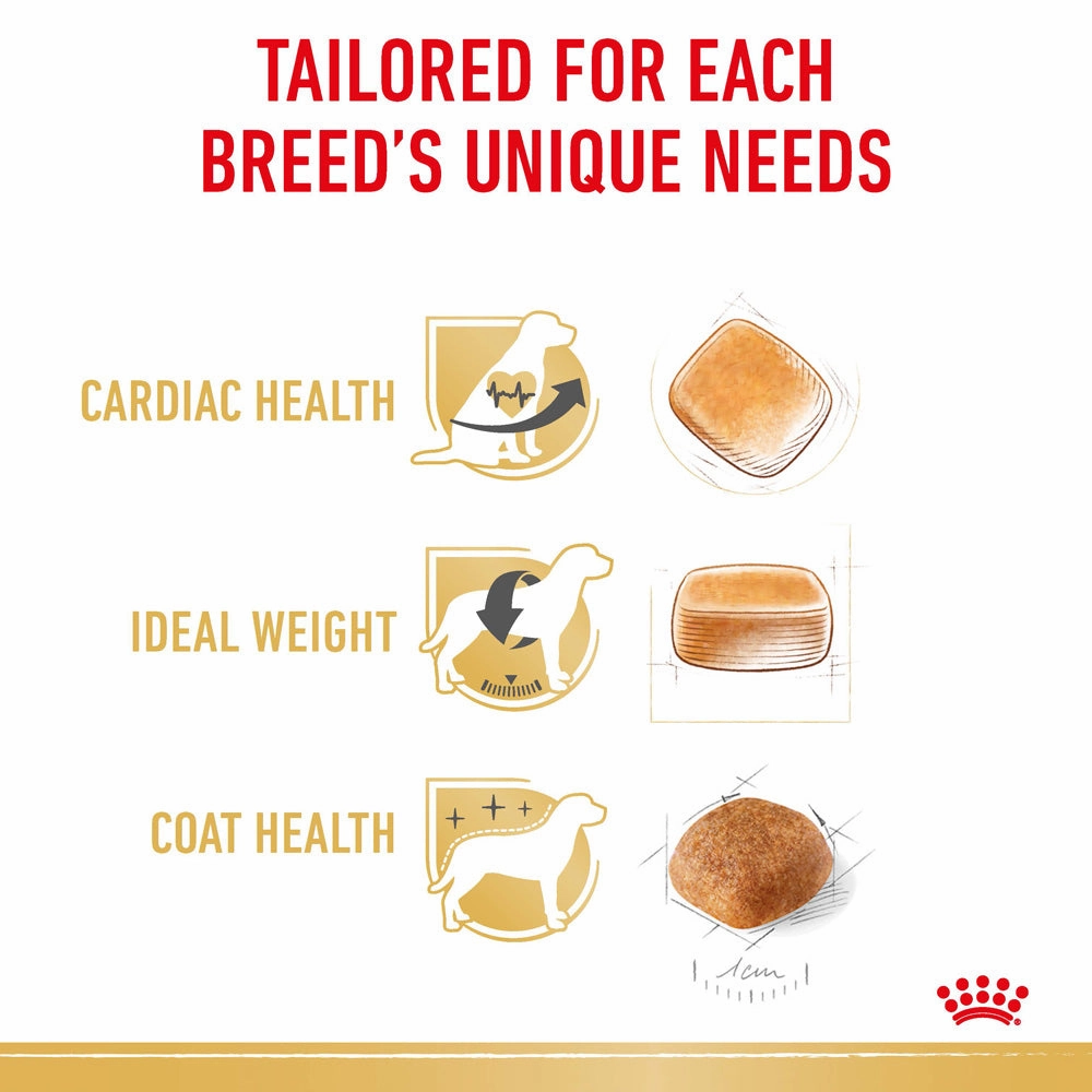Royal Canin - Cavalier King Charles Breed Adult Dog Dry Food (3kg)