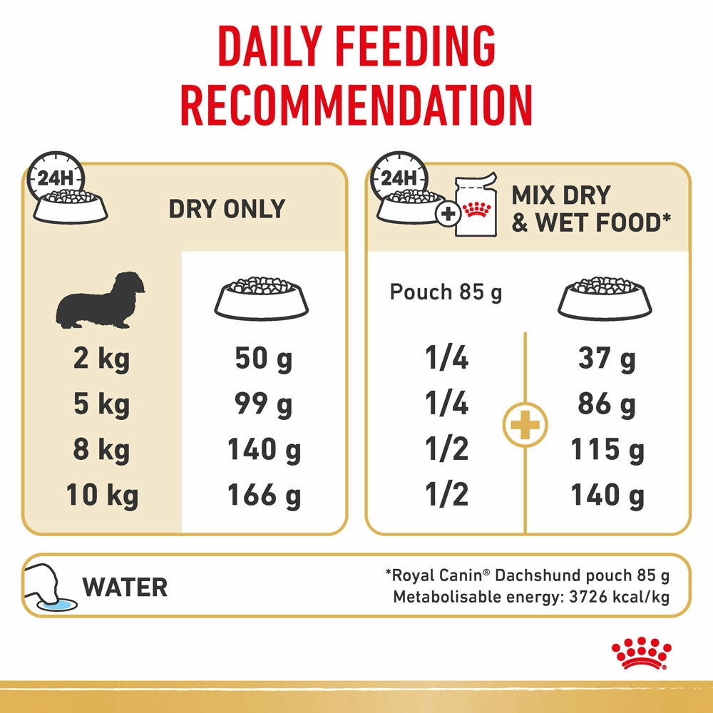 Royal Canin - Dachshund Breed Adult Dog Dry Food (1.5kg)