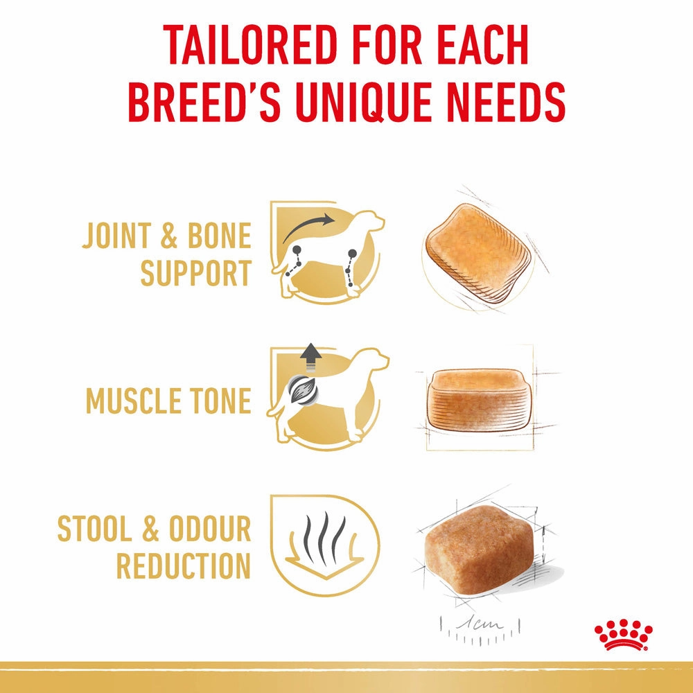 Royal Canin - Dachshund Breed Adult Dog Dry Food (1.5kg)