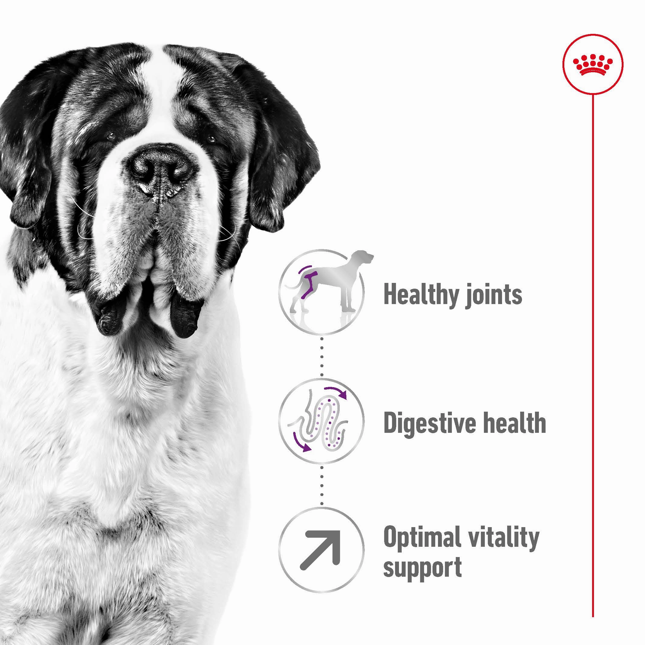 Royal Canin - Giant Adult Dog Dry Food (15kg)