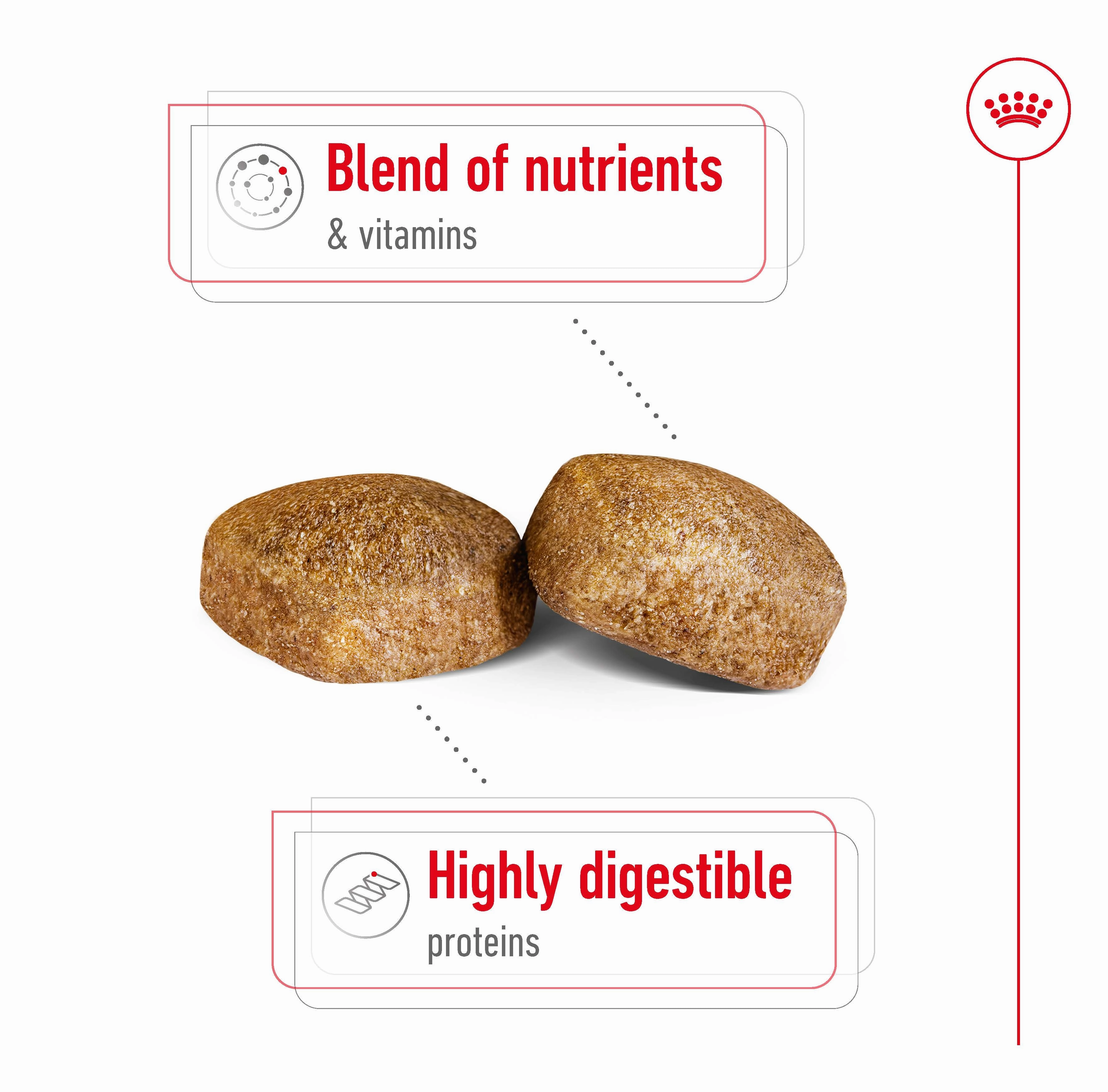 Royal Canin - Giant Adult Dog Dry Food (15kg)