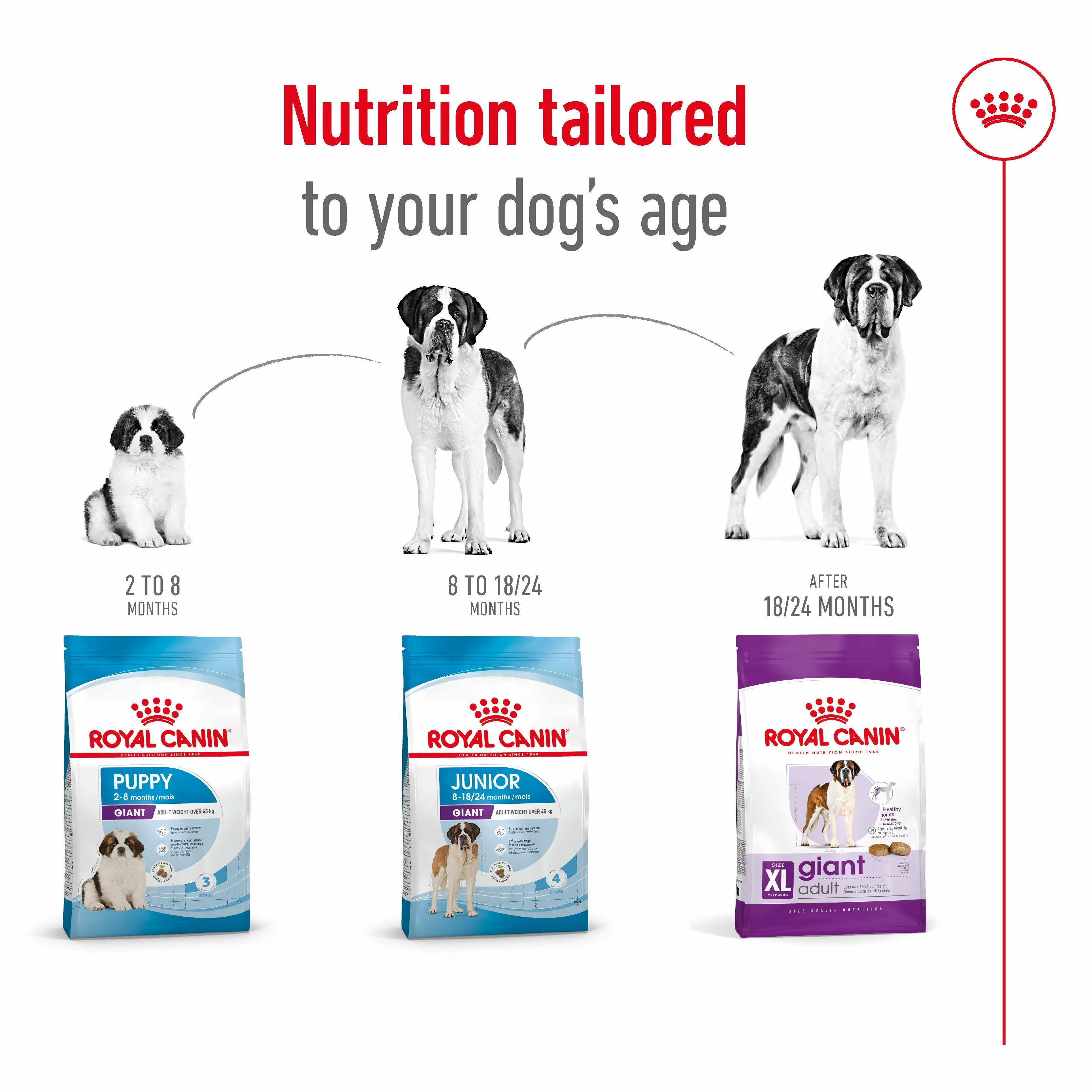 Royal Canin - Giant Adult Dog Dry Food (15kg)