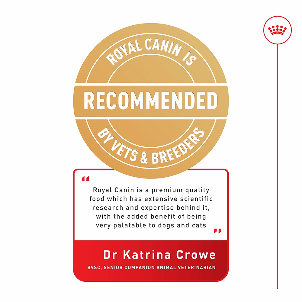 Royal Canin - Golden Retriever Breed Adult Dog Dry Food (12kg)