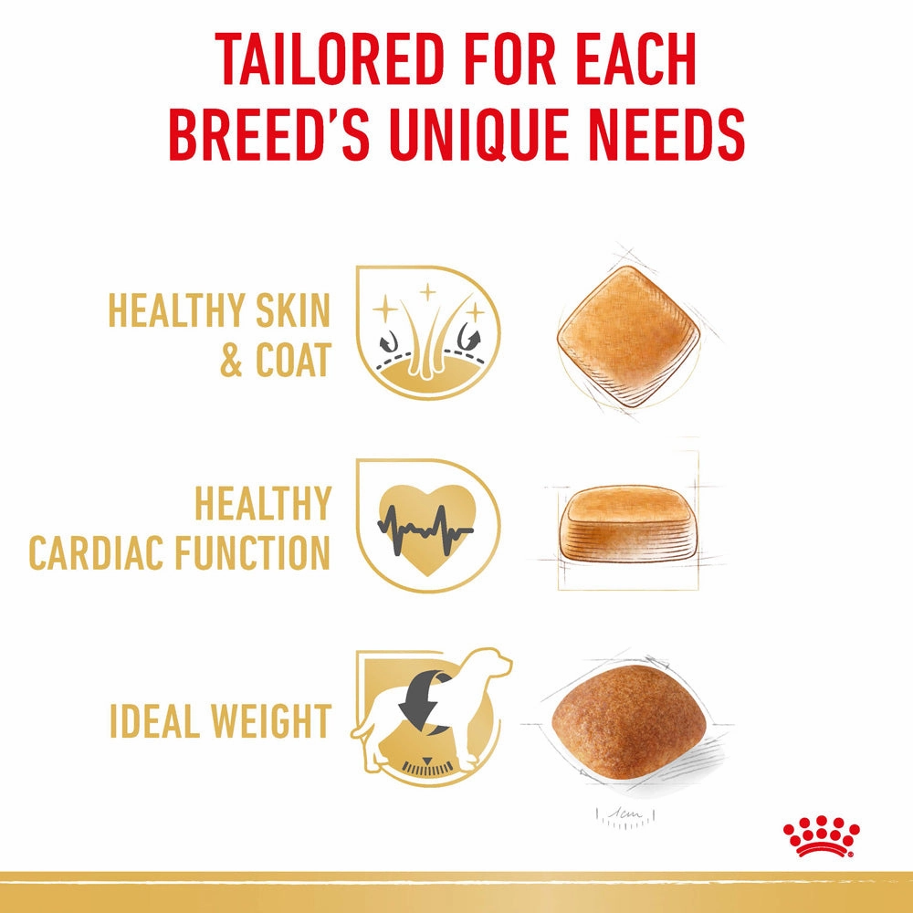 Royal Canin - Golden Retriever Breed Adult Dog Dry Food (12kg)