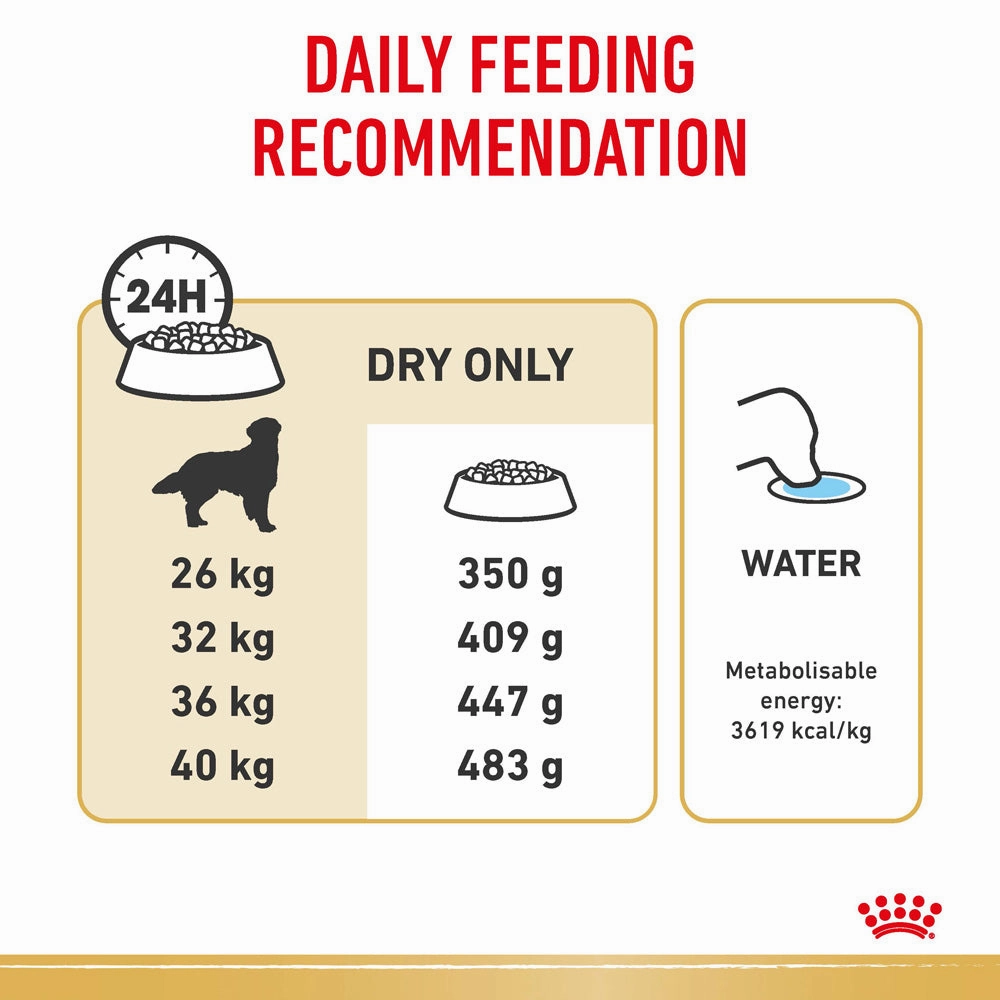 Royal Canin - Golden Retriever Breed Adult Dog Dry Food (12kg)