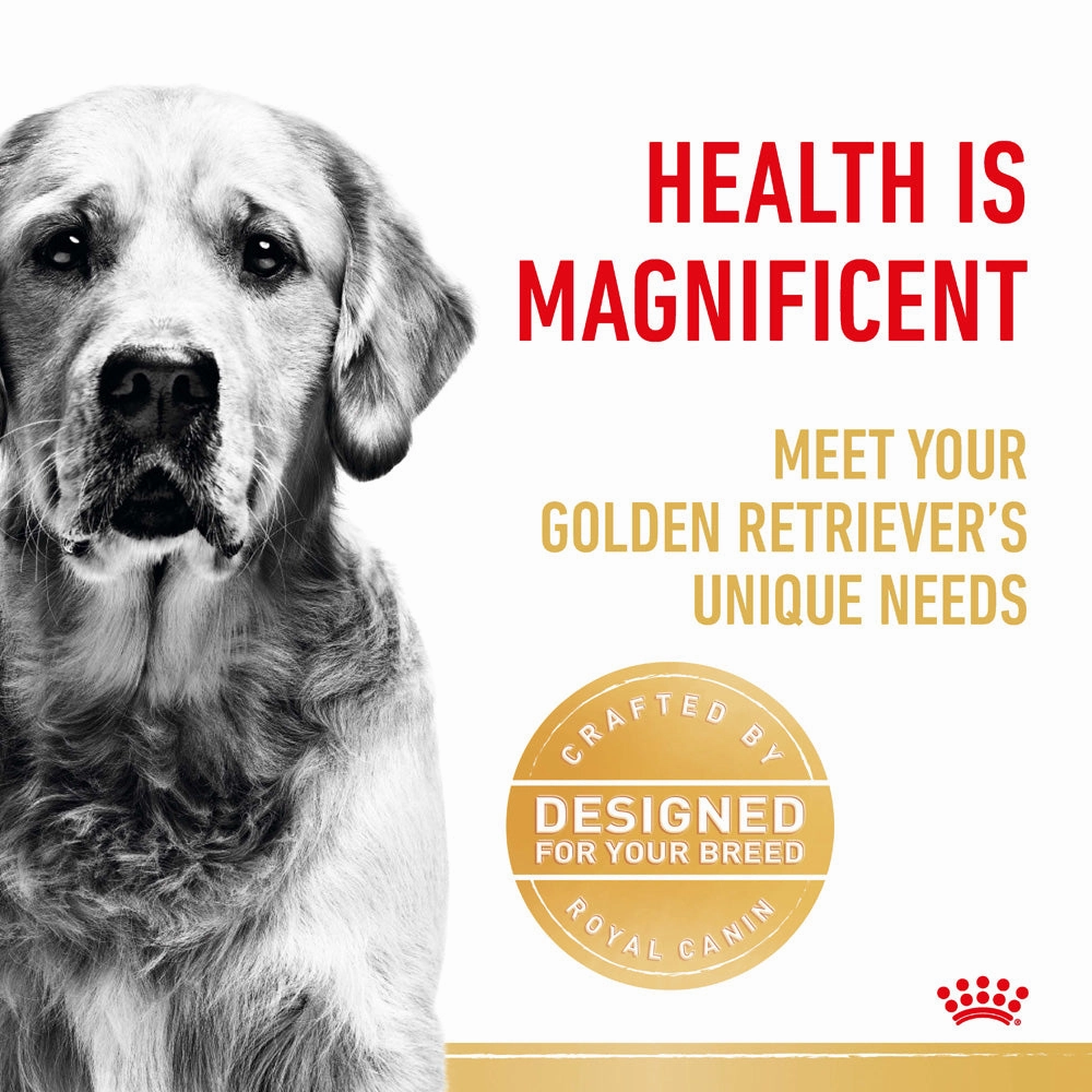 Royal Canin - Golden Retriever Breed Adult Dog Dry Food (12kg)