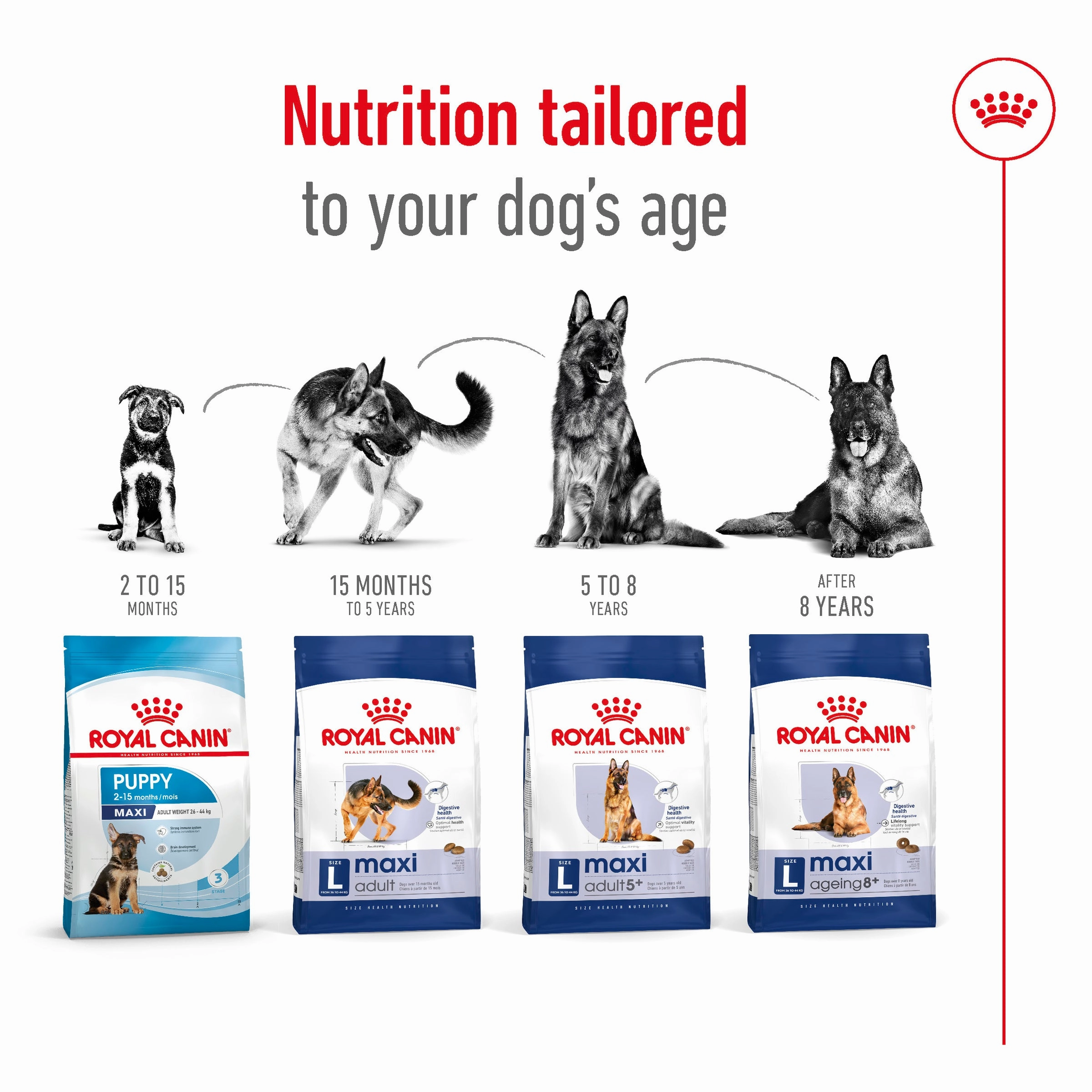 Royal Canin - Maxi Adult Dog Dry Food (15kg)