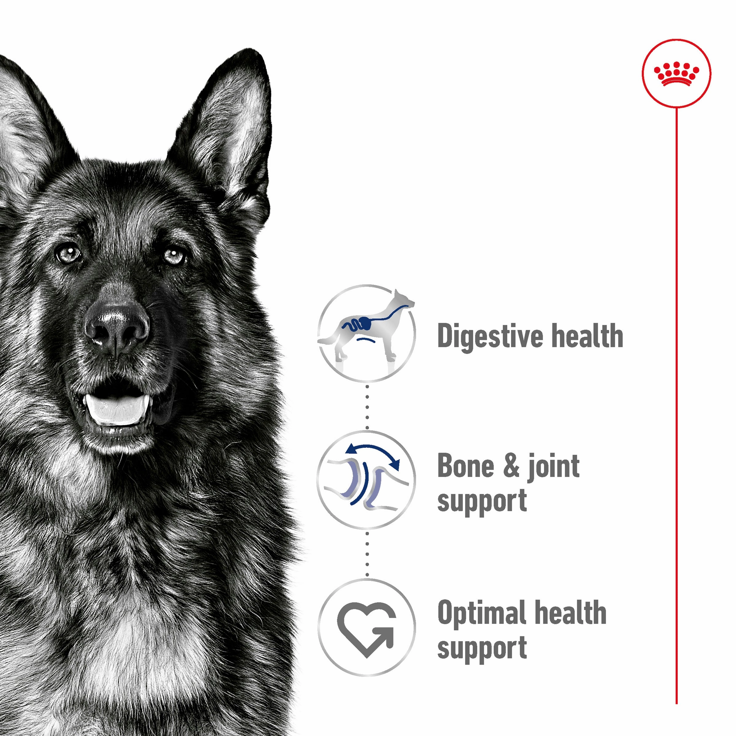 Royal Canin - Maxi Adult Dog Dry Food (15kg)