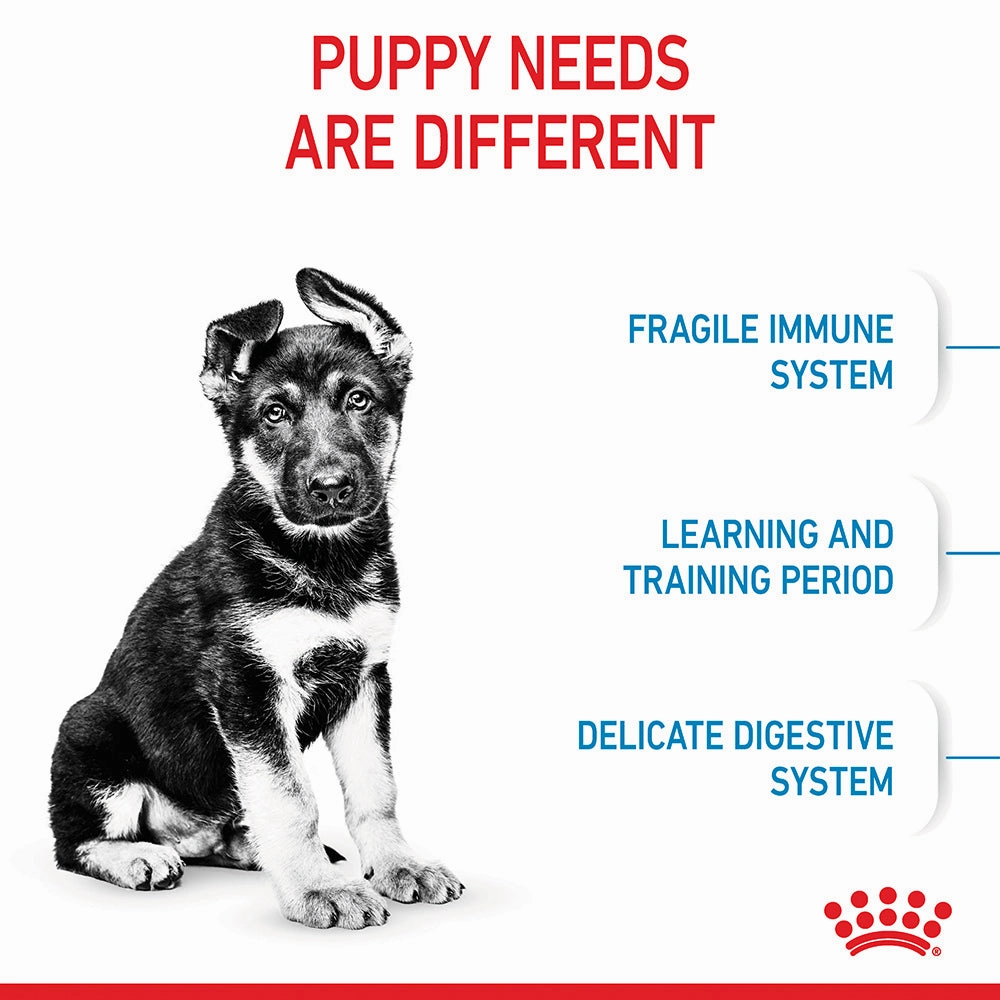 Royal Canin - Maxi Puppy Dog Dry Food (4kg)